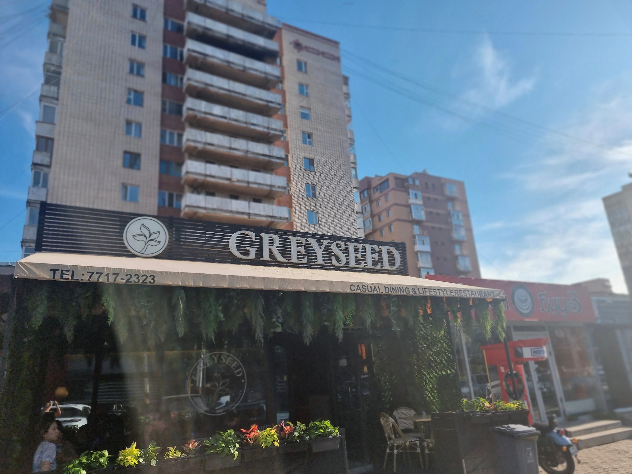 Greyseed